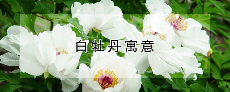 ĵԢʲôʺ͸ʲôˣ