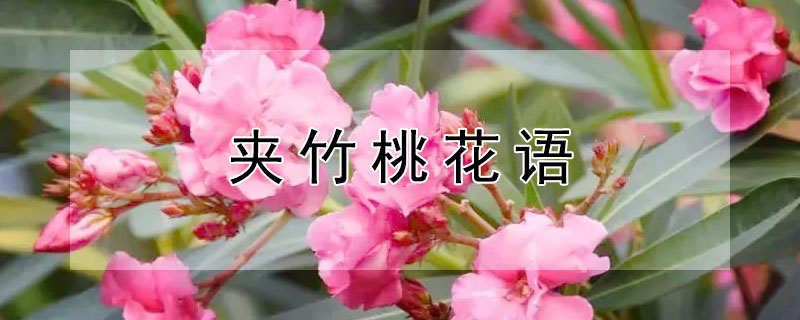 ҵĻʲô壿
