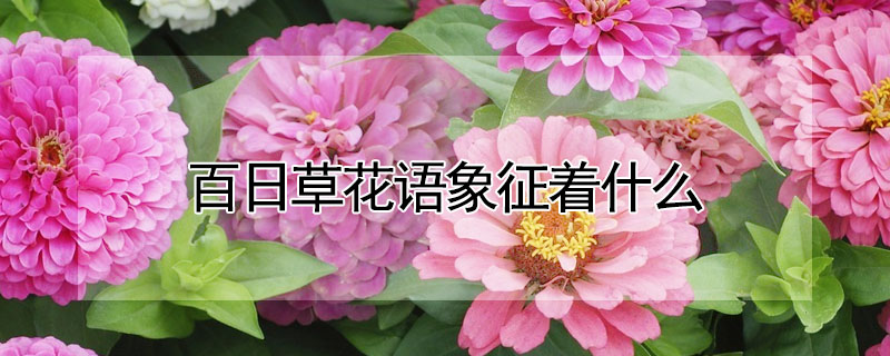 ղݻʲôղݻʲô壿