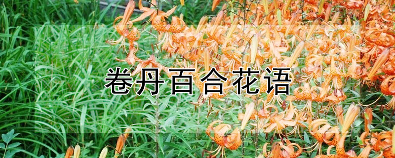 ٺϵĻﺬʲô