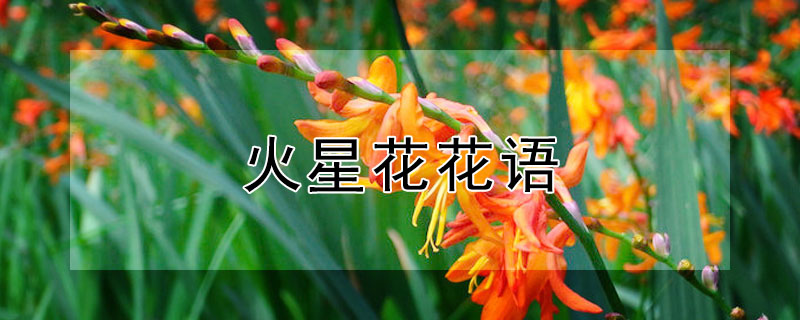 ǻĻﺬʲô˼