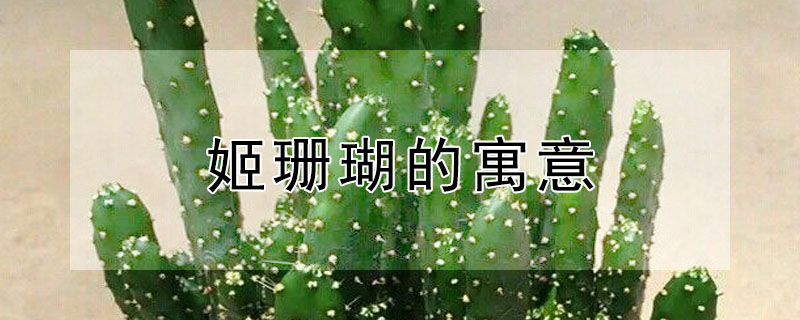 ɺʲôԢ⣿
