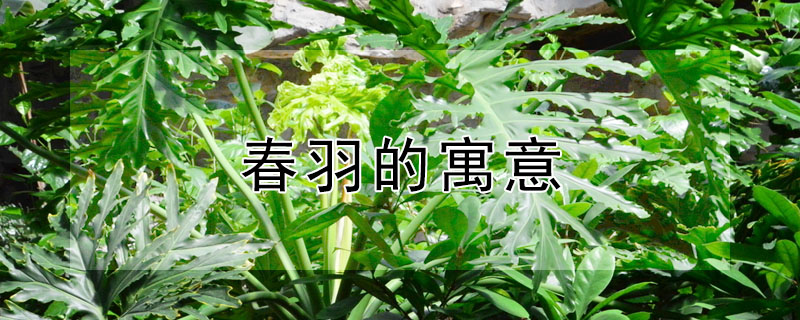 ʲôԢ⣿