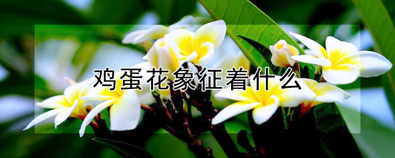 ʲôʲô壩
