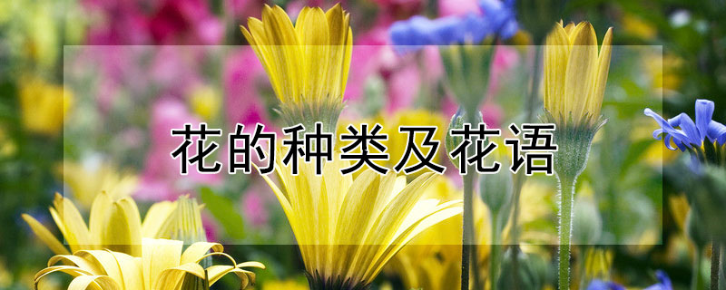 ༰ܣĻЩ