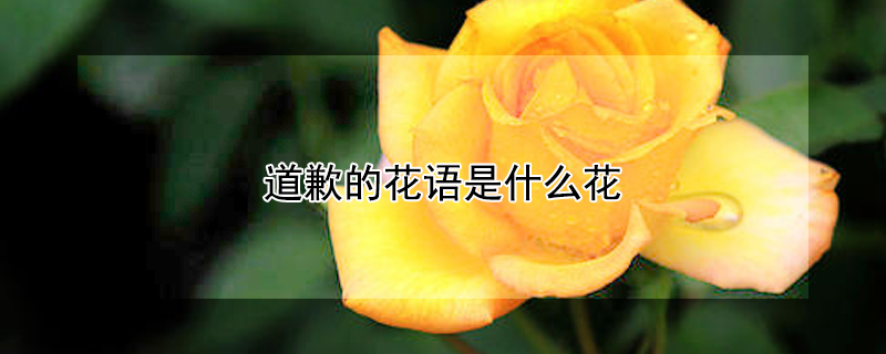 ǸĻʲôǸĻЩ