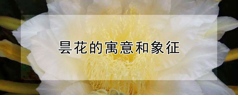 꼻ʲô