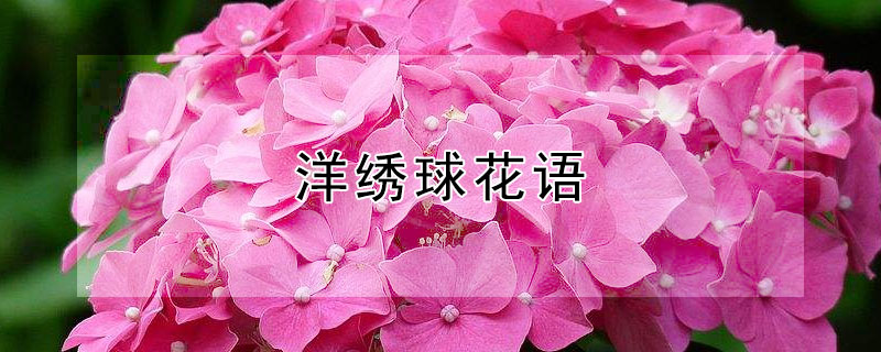 ʲô˼