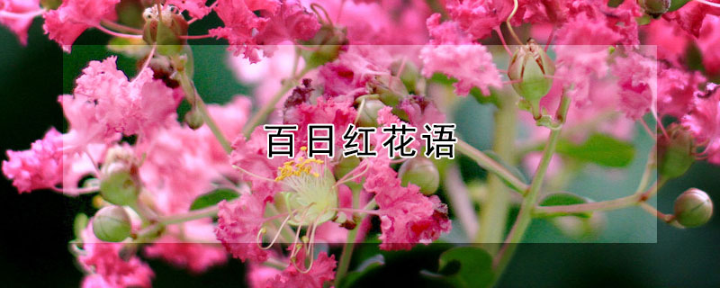 պ컨ʲô壿պʲôԢ⣿