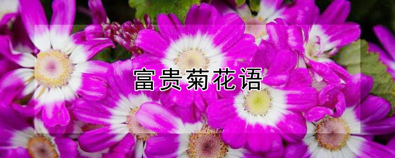 ջʲô壩