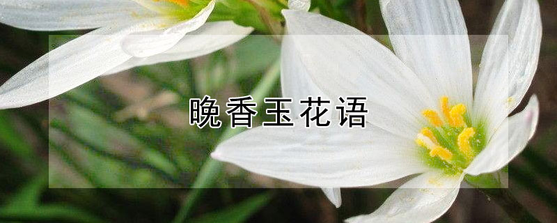 ʲô壩