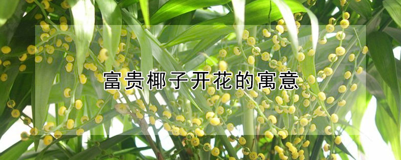 ҬӿԢ⣬Ҭӿʲô壿