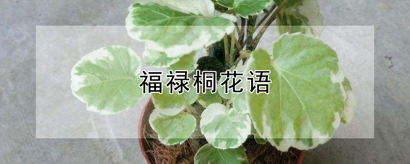 »ͩﺬʲôʺ͸ʲôˣ
