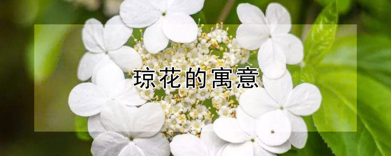 Ԣ⣬ʲô壿