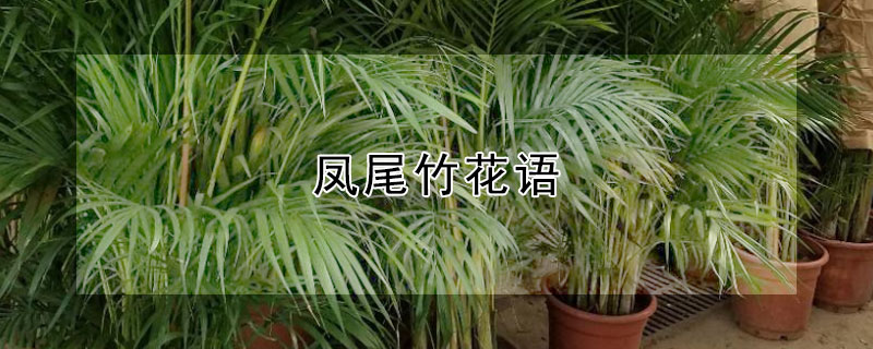 βʲôβʲô壿