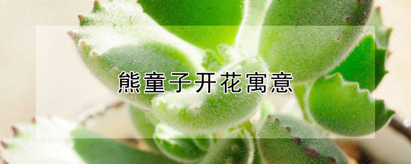 ͯӿԢʲôͯӿʲô壿