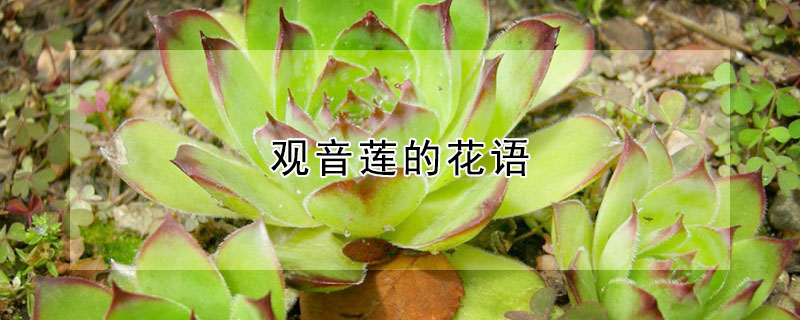 ĻʲôʲôԢ⣿
