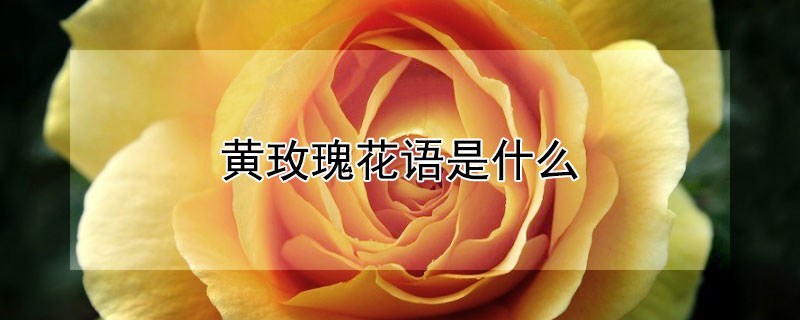 õ廨ʲôõ廨ʲô壿
