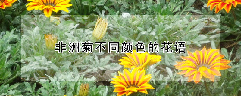 ޾ղͬɫĻʲô޾ʲôԢ