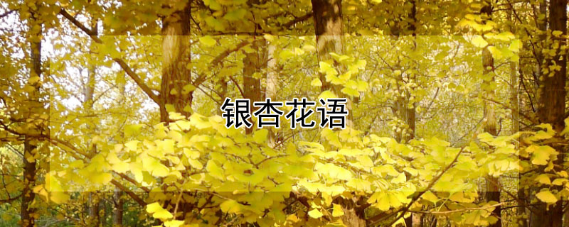 ӻʲô壿