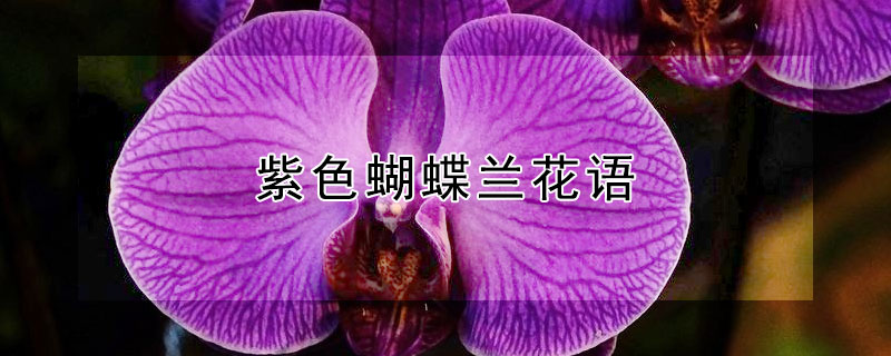 ɫʲô˼ɫԢ