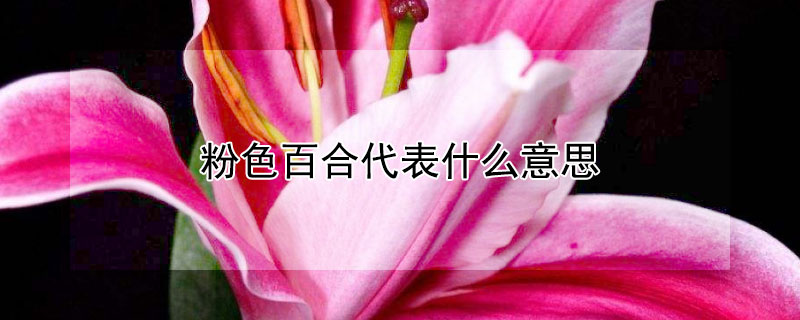 ɫٺϴʲô˼ɫٺЩԢ⣿