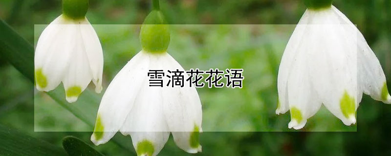 ѩλĻѩλЩ壿