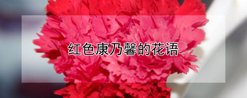 ɫܰĻʲôʲô壿ʺ͸ʲôˣ