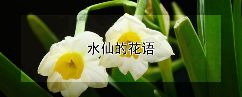ˮɻĻﺬʲôʺ͸ʲôˣ