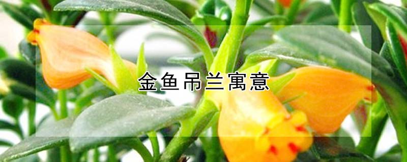 Ԣʲô壿
