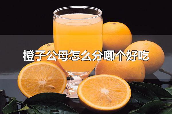 ӹĸôĸó Ǵͬ