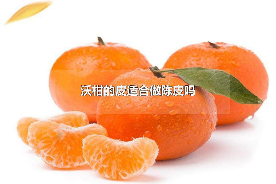 ̵ָƤʺƤ ָƤɵĳƤʲôص