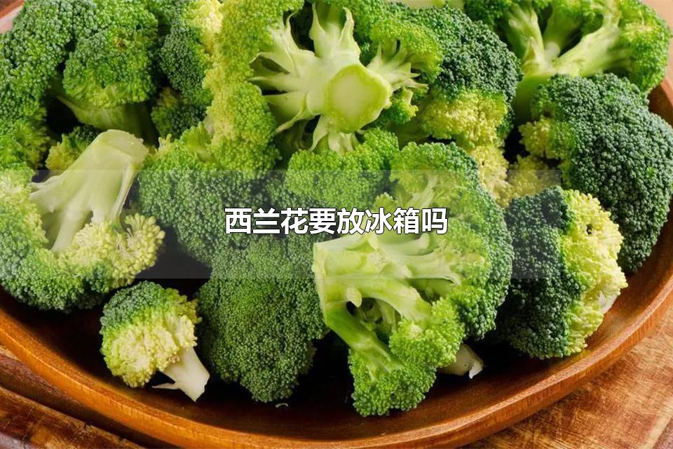 Ҫű ڱ18