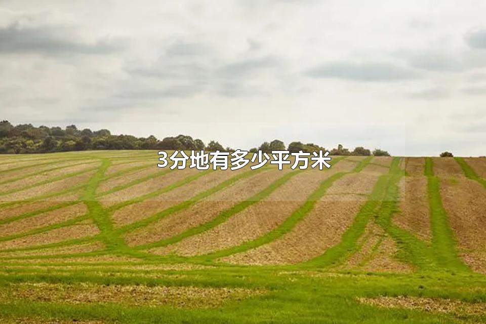 3ֵжƽ ֵصڶĶ