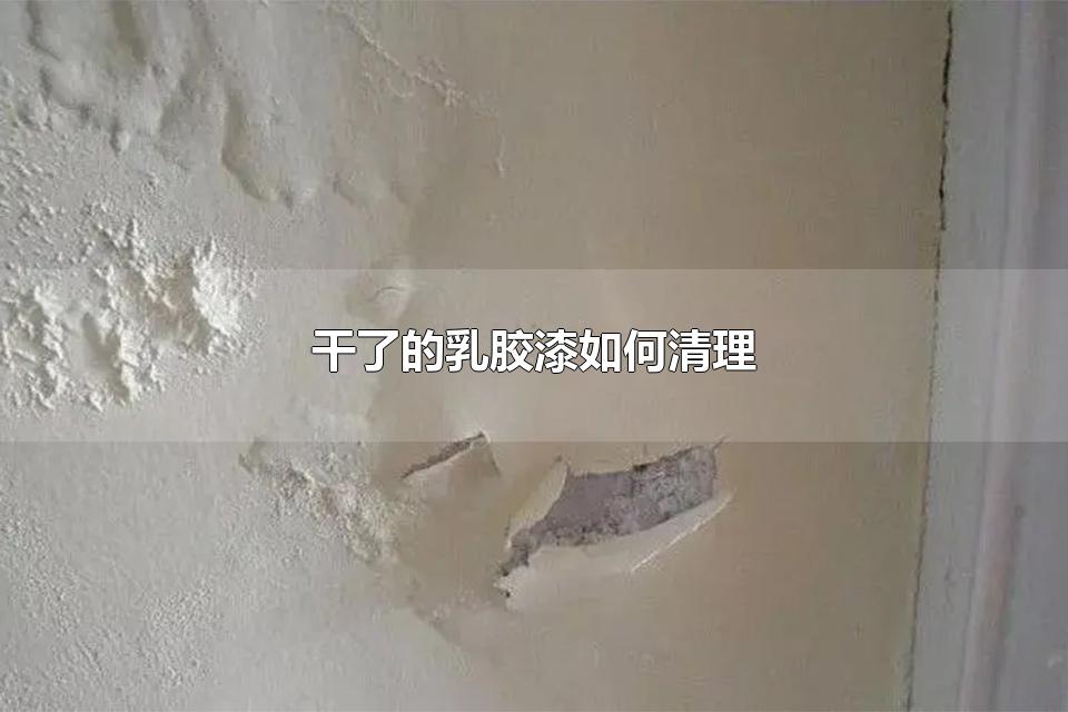 ˵齺 ˢ齺к