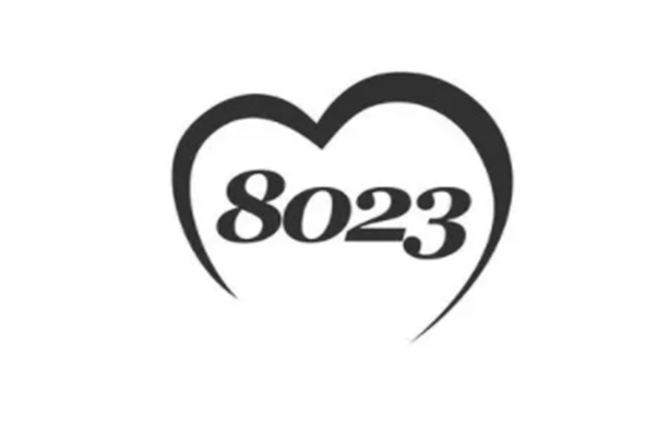 8023ִʲô˼?LOVE(İ)