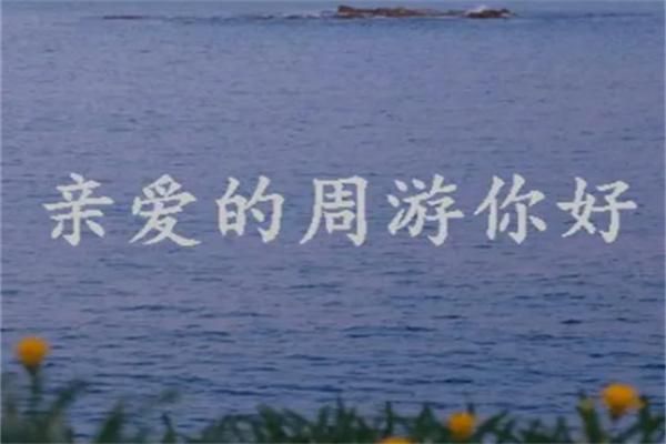 װʲô˼ָκˣûضָ