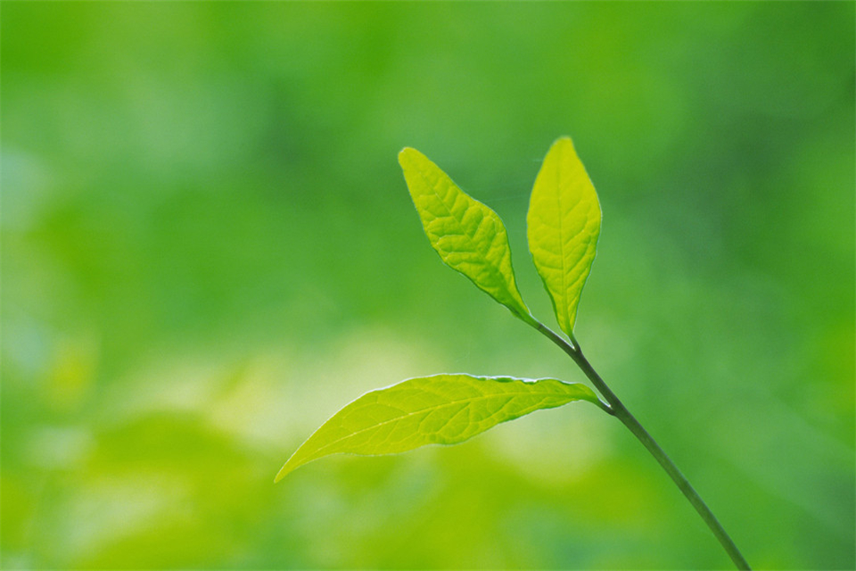 10ִľ