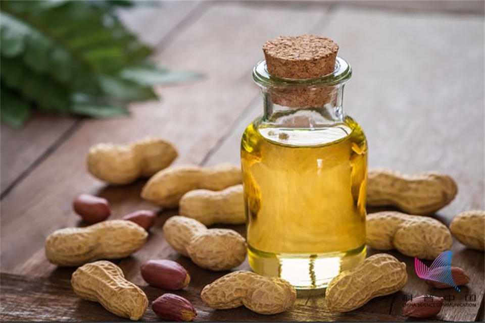 定陶税务：信用护航+政策红利 筑牢企业发展根基_定陶_大众网