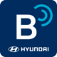 ִbluelink°汾