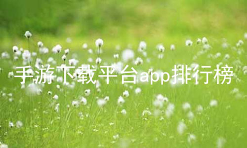 ƽ̨appа