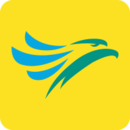 cebu pacific