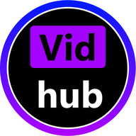 VidhubƵ2024°