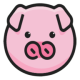 bt