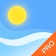 ԤPRO