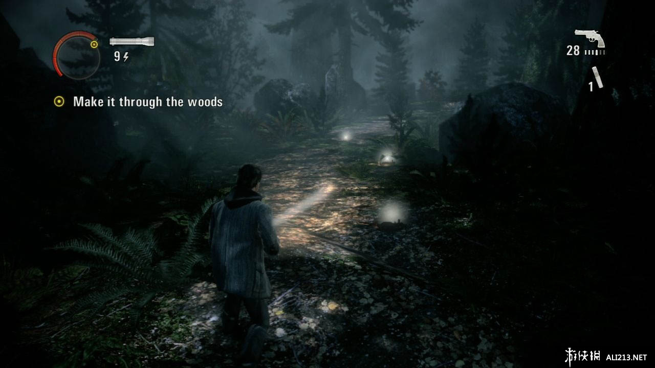 ɱ/ѣAlan Wake޸ 