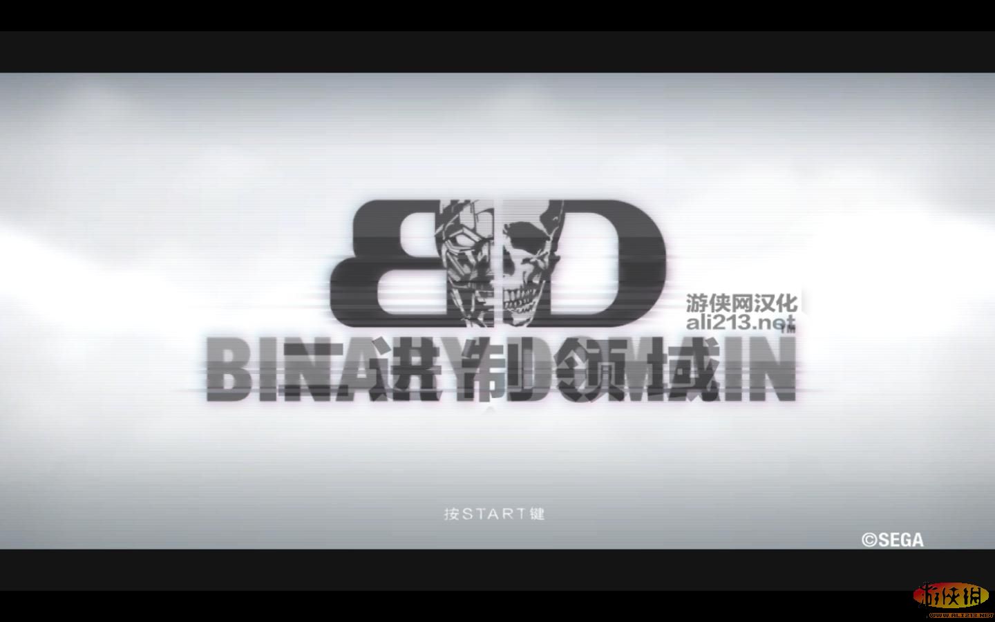 Binary DomainĺV1.1