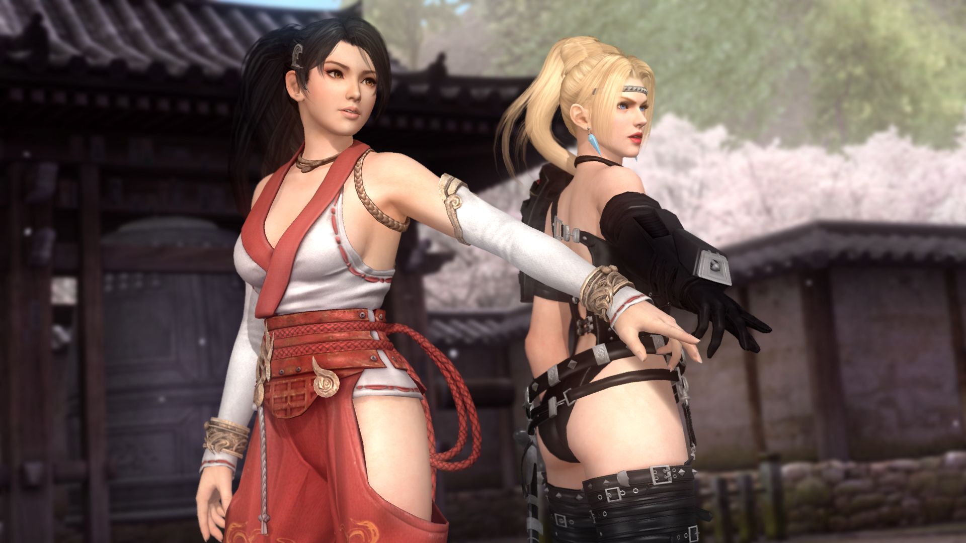 5һսDead Or Alive 5Last RoundLMAO麺V1.0