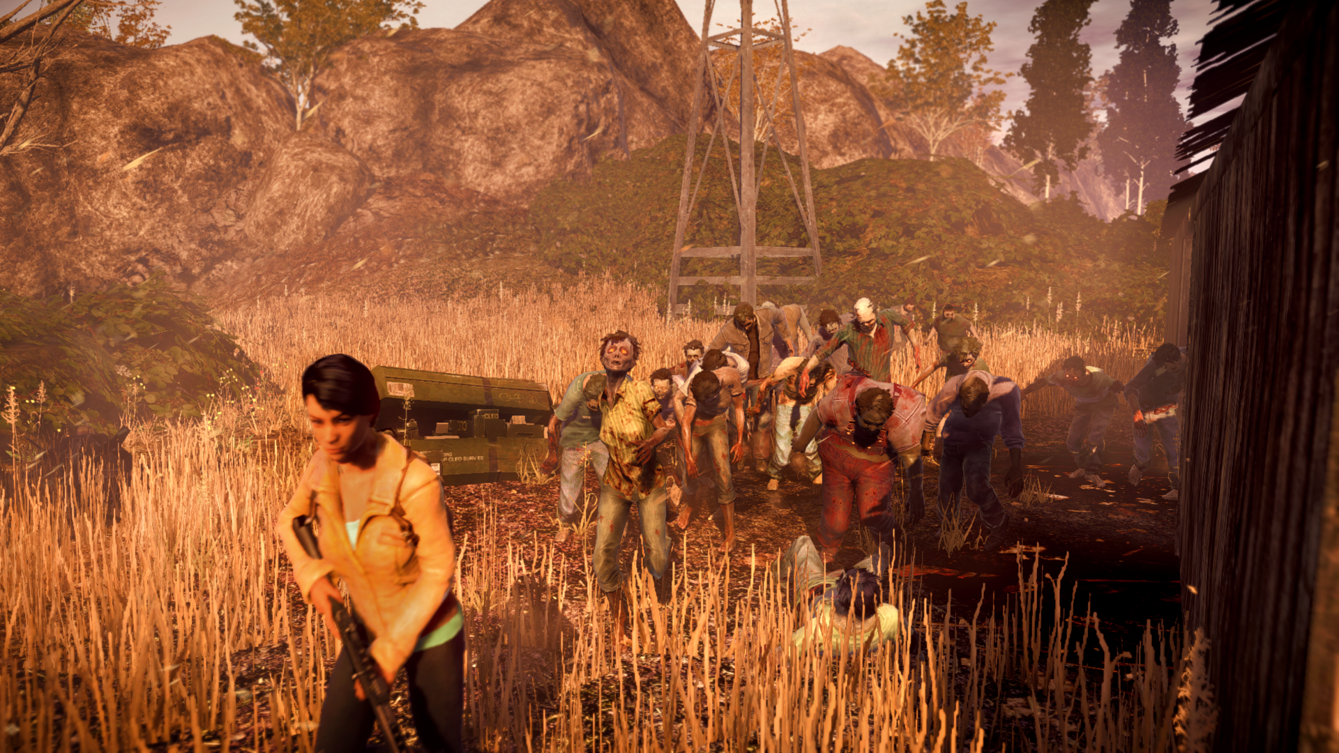 öУ棨State of Decay: Year One Survival Editionȫ汾޸