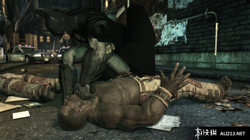 ֮ķԺȰ棨Batman: Arkham Asylum Game of the Year Edition㺺麺V1.21